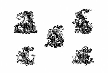 Decorative alphabet letter with artistic and ornate typography, detailed linework and stylized design, ideal for logos, posters, tattoos and branding.