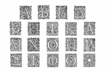 Decorative alphabet letter with artistic and ornate typography, detailed linework and stylized design, ideal for logos, posters, tattoos and branding.