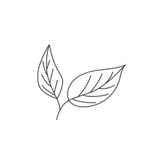 Leaf Line Art Botanical Illustration Minimal Outline
