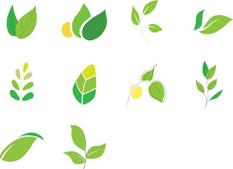 Green Leaf Icons Set Eco Botanical Collection