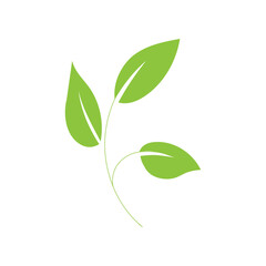 Green Leaf Branch Botanical Illustration Modern Style
