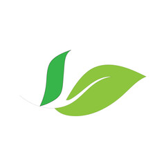 Abstract Green Leaf Logo Eco Nature Flat Design