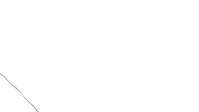 Paint Brush Scribble animation. Abstract Stroke Background, diagonal, spiral, multidirectional chaotic lines direction. Brush stroke black and white noise animation background. Crazy Hatching