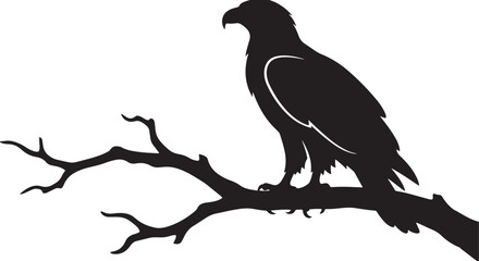 Obraz premium black silhouette of perched eagle on white background, vector