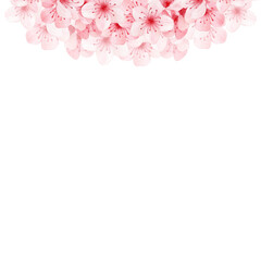 Fototapeta premium A frame of herry blossom branch with soft pink flowers on white background. For spring, botanical designs, or Asian-themed decor and invitations. Japanese plum blossoms, Chinese apricots (Meihua),