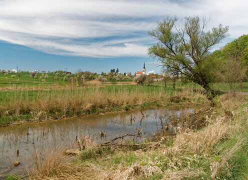 Biberreservat an der Wern bei Pfersdorf, Gemeinde Poppenhausen, Landkreis Schweinfurt, Unterfranken, Bayern, Deutschland