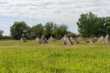 Landschaft am Kis-Balaton bei Vörs, Nationalpark Balaton-Oberland, Balaton, Ungarn