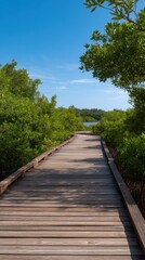 Scenic Wooden Plank Pathway Through Vibrant Mangrove Forest Under Clear Blue Sky