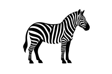Fototapeta premium A black and white striped zebra standing in profile isolated on a white background vector illustration