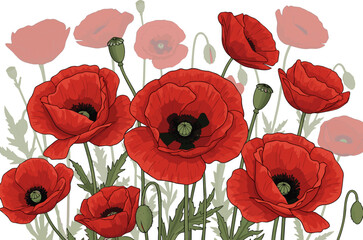 Obraz premium Create a kinds of deferent realistic Foreground of blooming red poppies in shade, vector art with white background.
