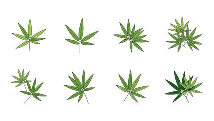 Fototapeta premium Botanical illustration featuring various groupings of vibrant green leaves on white background