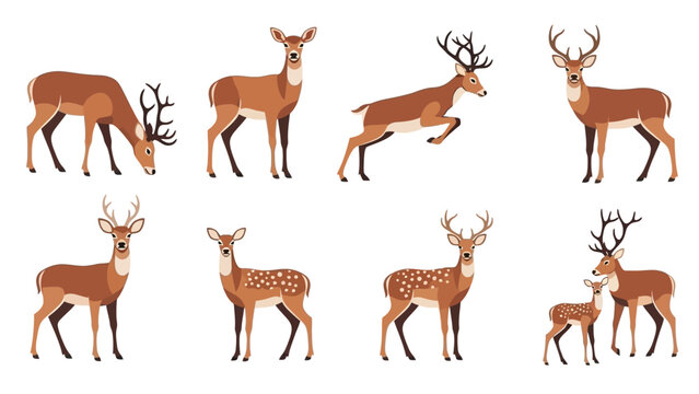 Collection of elegant deer illustrations for design elements and wildlife concept