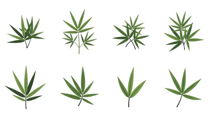 Fototapeta premium Illustration of Various Bamboo Leaves in Different Arrangements for Creative Projects