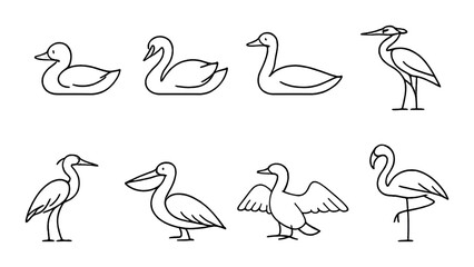 Minimalist line drawings of diverse waterfowl silhouettes in grey tones