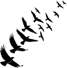 Obraz premium Silhouette of Birds Flying in Formation – Black and White Minimalist Illustration