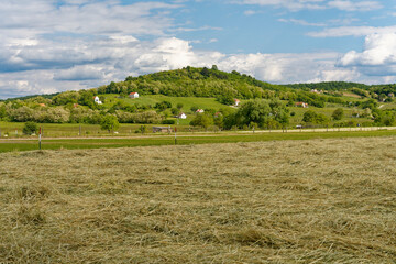 Landschaft im Kali-Becken, Nationalpark Balaton-Oberland, Balaton, Ungarn