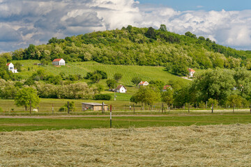Obraz premium Landschaft im Kali-Becken, Nationalpark Balaton-Oberland, Balaton, Ungarn