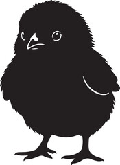 Obraz premium Cute Chick Icon Silhouette,Baby Hen icon, on white background