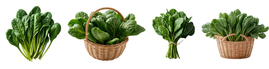 Fresh raw spinach leaves isolated on a transparent background
