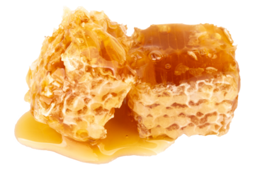 honey isolated on white background Honeycomb