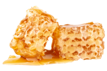 honey isolated on white background Honeycomb