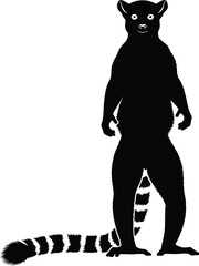 Illustration of a standing ring-tailed lemur black silhouette © SEMA