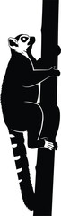 Animal silhouette lemur climbing a tree trunk © SEMA