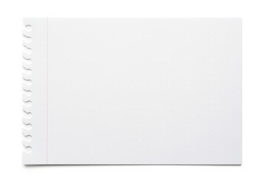 Blank dotted paper sheet torn from spiral pad with margin line and perforated edge, printable page for task notes and form layouts with generous copy space for text placement in print production