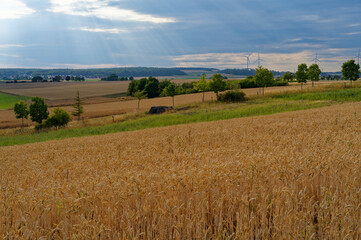 Fototapeta premium Landschaft und Feldflur bei Euerbach, Landkreis Schweinfurt, Unterfranken, Bayern, Deutschland