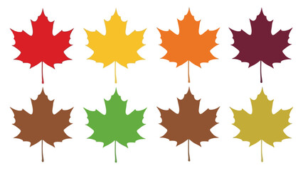 Colorful maple leaves assortment representing autumn season with fall foliage