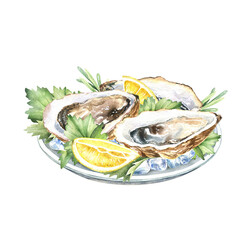 Raw oysters on ice with lemon slices and fresh herbs. Hand-drawn watercolor illustration isolated on a white background. A seafood sketch. The design element of the restaurant menu.