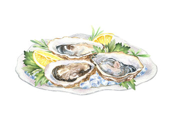 Fresh oysters in a shell on elegant plate, with lemon and herbs, ice. Hand-drawn watercolor illustration isolated on white background. Restaurant dinner, appetizing scene of oceanic delicacies.