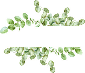 Watercolor border of eucaliptus