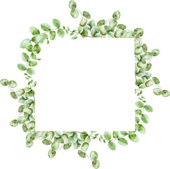 Watercolor frame of eucaliptus