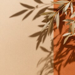 Olive branch shadow on two-tone beige/terracotta textured surface