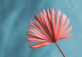 Coral palm frond against a soft teal background with dappled shadows