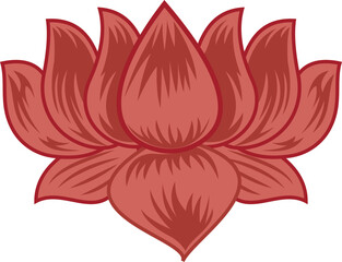 lotus flower blossom design
