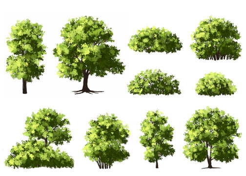  Vector watercolor green  tree or forest side view isolated on white background for landscape and architecture drawing,elements for environment or and garden,Shrub for section