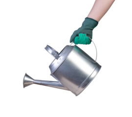 Hand in glove holding a watering can, isolated on white or transparent background 