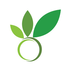 Green leaf logo design