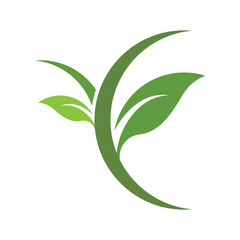 Green leaf logo design