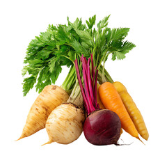 A vibrant collection of fresh root vegetables including carrots, turnips, and beets with leafy greens on a white isolated background.