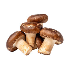 Fototapeta premium Fresh brown mushrooms on a white isolated background, perfect for culinary use or food-related projects showcasing healthy ingredients.
