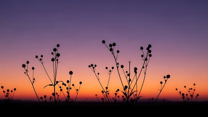 Obraz premium Silhouette of plants against a colorful sunset flowers purple