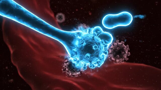 Blood Cell and Virus Interaction - A Microscopic View.