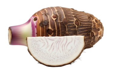Detailed cross section of a portobello mushroom revealing internal structure isolated on transparent background