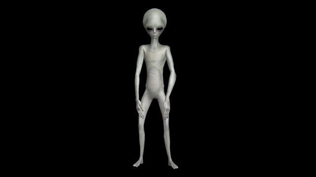 Cinematic Super-Realistic Gray Alien 3D Motion Pack with Advanced Humanoid Gestures, Subtle Behavioral Animation, High-End Sci-Fi Movement Design, Professional Production Quality