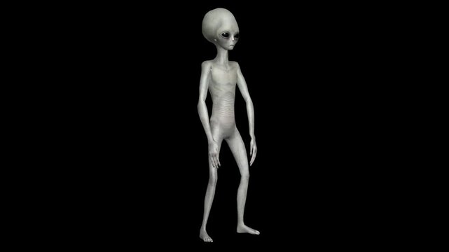 Cinematic Super-Realistic Gray Alien 3D Motion Pack with Advanced Humanoid Gestures, Subtle Behavioral Animation, High-End Sci-Fi Movement Design, Professional Production Quality