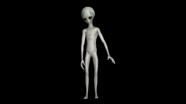 Professional 3D Gray Alien Movement Library Featuring Hyper-Realistic Humanoid Animation, Intelligent Gesture Systems, Anatomically Plausible Motion Design, Cinematic Sci-Fi Performance Capture.