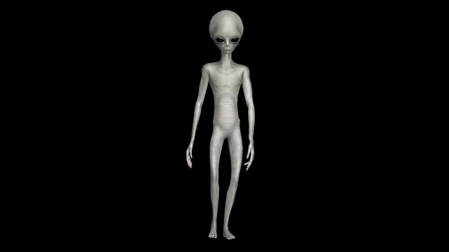 Professional 3D Gray Alien Movement Library Featuring Hyper-Realistic Humanoid Animation, Intelligent Gesture Systems, Anatomically Plausible Motion Design, Cinematic Sci-Fi Performance Capture.